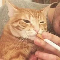 Foto de perfil de María M. Law