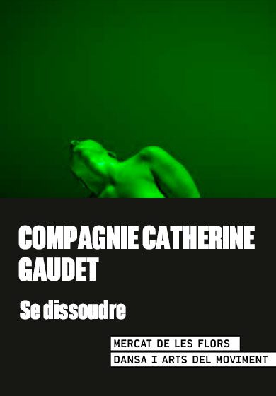 Compagnie Catherine Gaudet: Se dissoudre