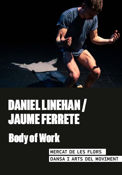 Daniel Linehan: Body of Work