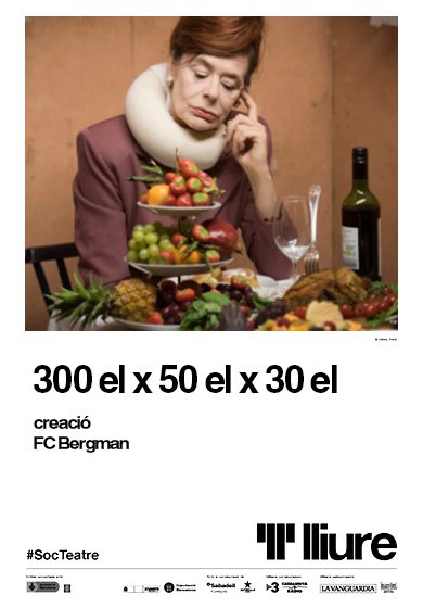 300 el x 50 el x 30 el