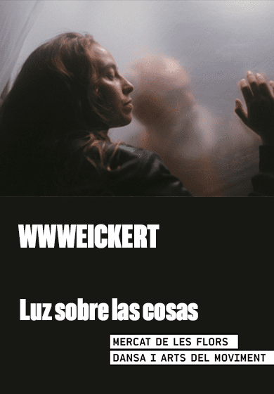 Wwweickert: Luz sobre las cosas