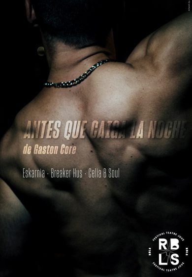 Antes que caiga la noche