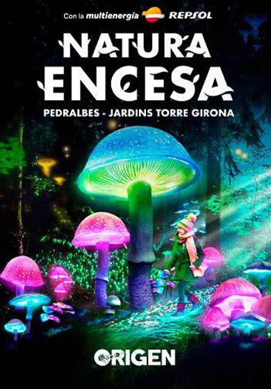 Natura Encesa: Origen