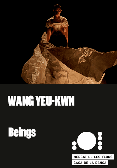 Shimmering Production: Beings