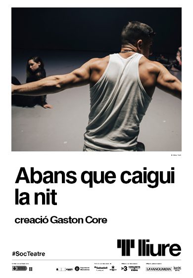 Abans que caigui la nit