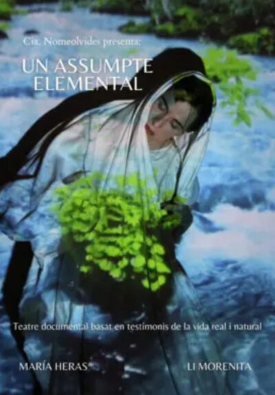 Un assumpte elemental