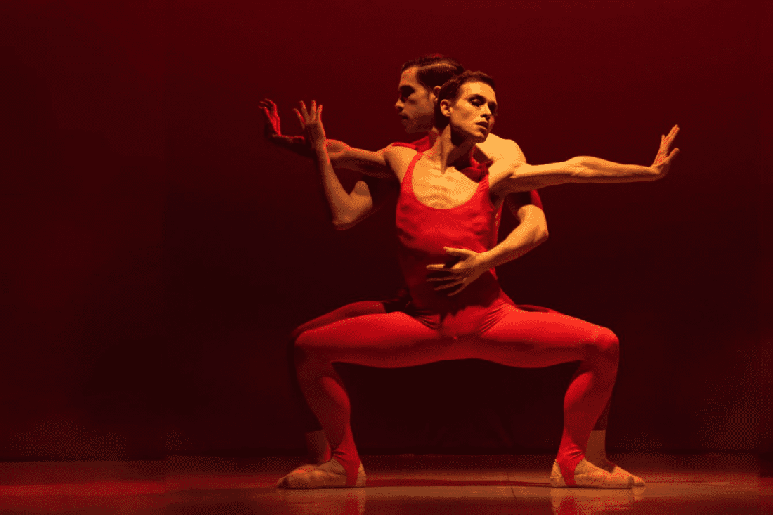 Ballet de Barcelona: Gran Gala 5è Aniversari