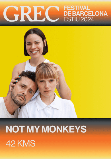Not My Monkeys