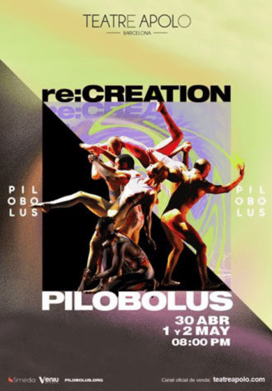 Pilobolus: re:CREATION
