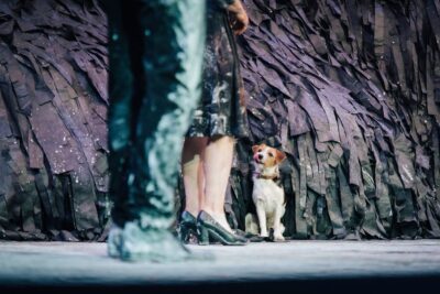 TEATRE-BARCELONA-Qui som (8)