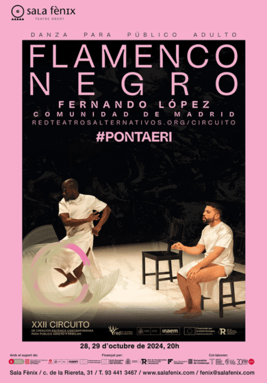Flamenco negro