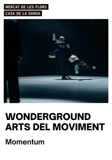 Wonderground Arts del Moviment: Momentum