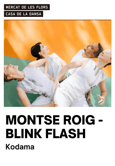 Blink Flash: Kodama