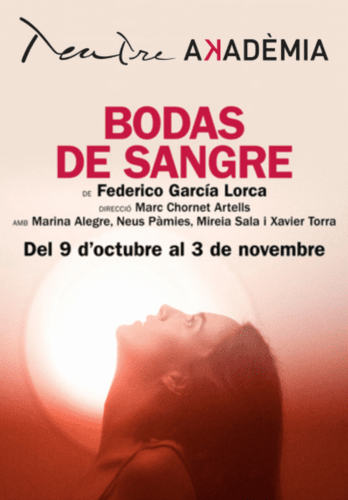 Projecte Ingenu: Bodas de sangre