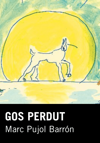 Gos perdut