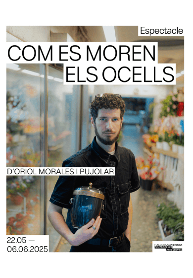 Com es moren els ocells