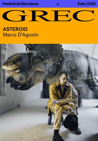 Marco D'Agostin: Asteroid