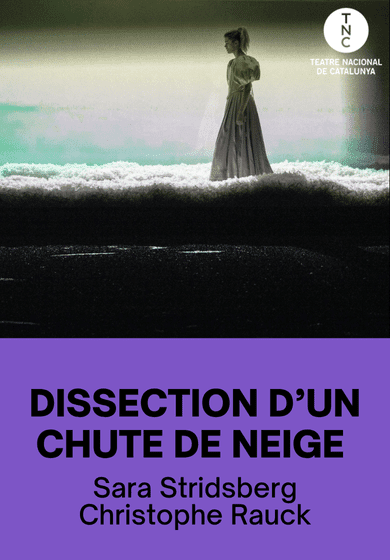 Dissection d’une chute de neige → TNC - Teatre Nacional de Catalunya