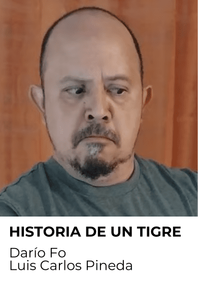 Historia de un tigre