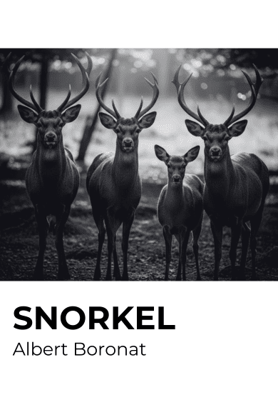 Snorkel