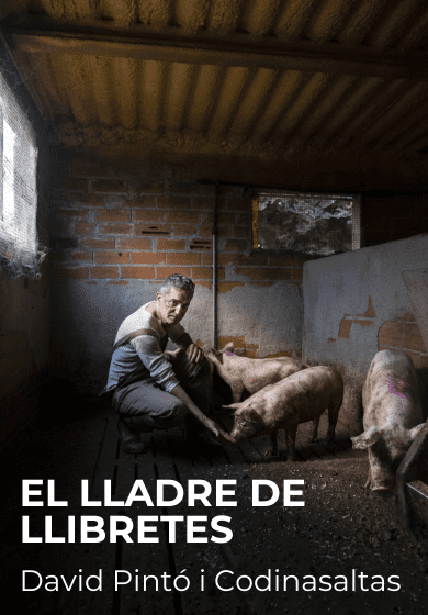 El lladre de llibretes