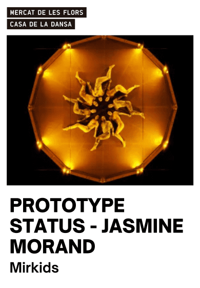 Prototype Status: Mirkids