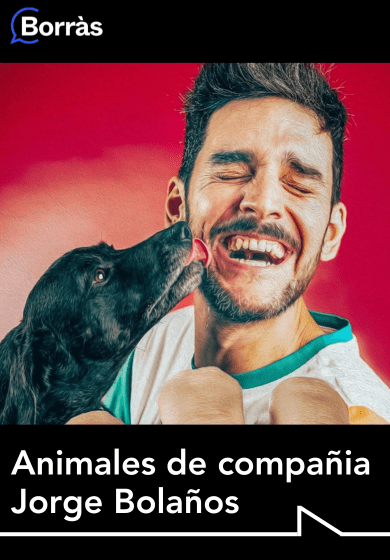 Jorge Bolaños: Animales de compañia → Teatre Borràs