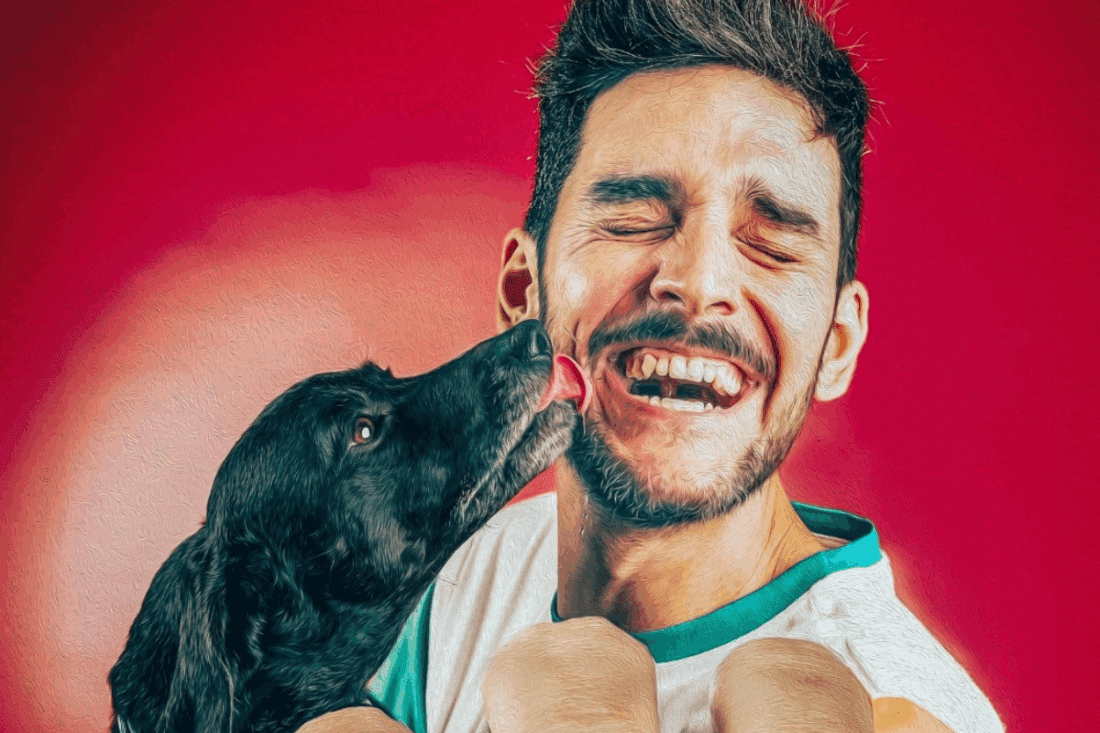 Jorge Bolaños: Animales de compañia