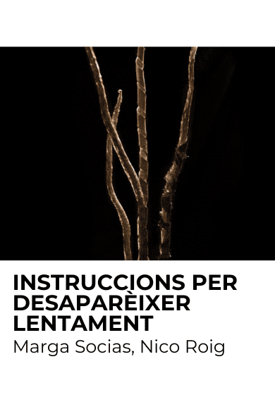 Instruccions per desaparèixer lentament → Centre de les Arts Lliures