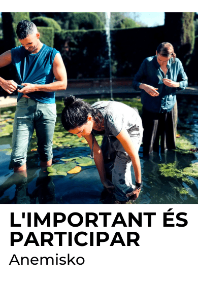 L'important és participar