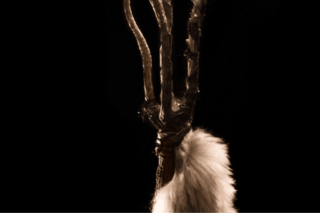 Instruccions per desaparèixer lentament