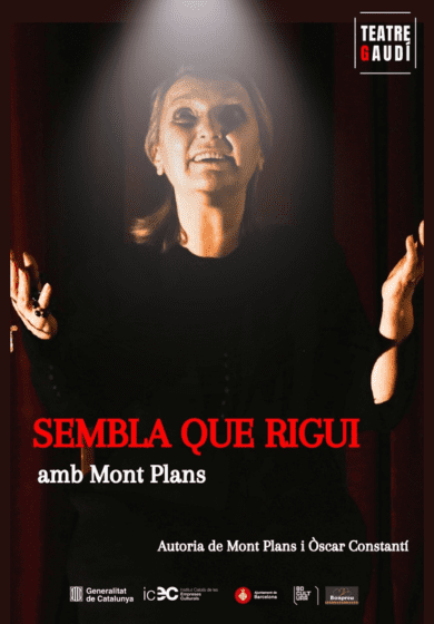Mont Plans: Sembla que rigui → Teatre Gaudí Barcelona