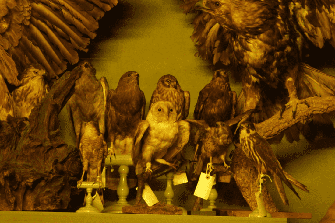 Exorcismes, Patrimoni i Performativitat 2026