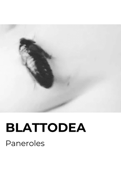 BLATTODEA → Centre de les Arts Lliures