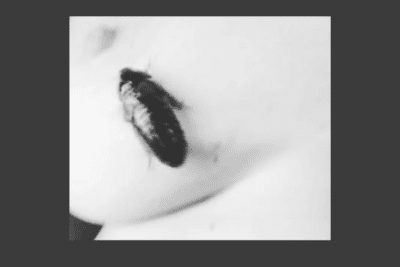 TEATRE-BARCELONA-BLATTODEA-GALERIA