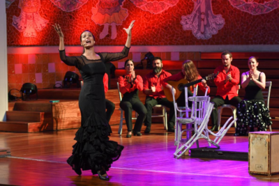 teatre barcelona-flamenkat (2)