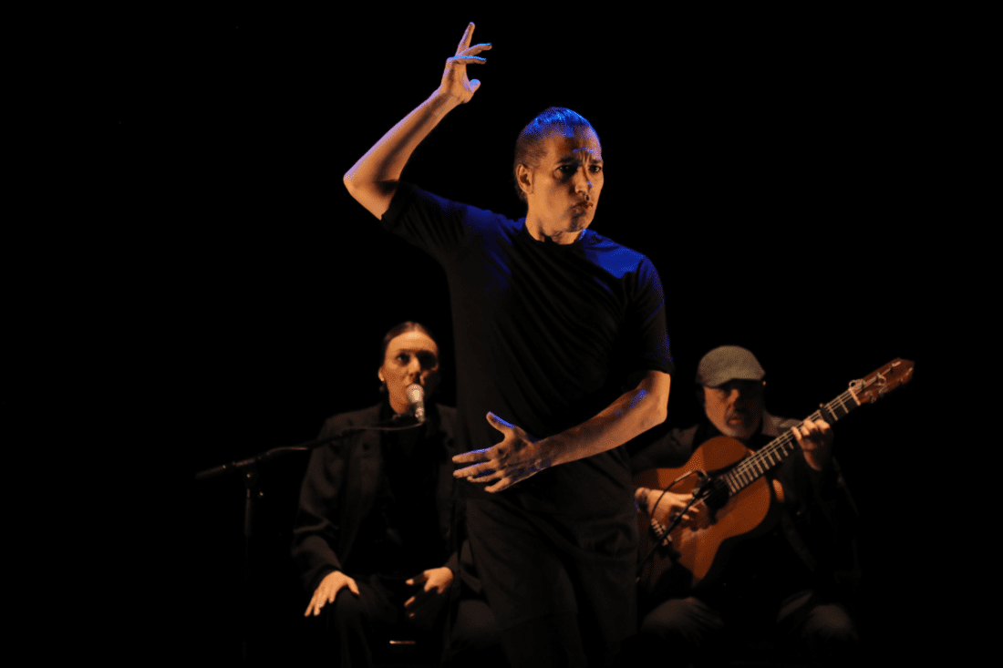 Desvarío Flamenco: Mariví Blasco, Pedro Barragán, Israel Galván, Rafael Rodríguez, María Marín