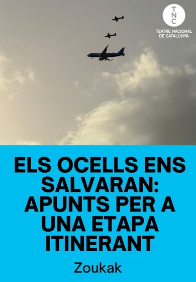 Els ocells ens salvaran: apunts per a una etapa itinerant → TNC - Teatre Nacional de Catalunya