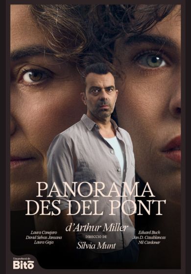 Panorama des del pont