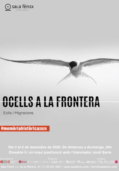 Ocells a la frontera