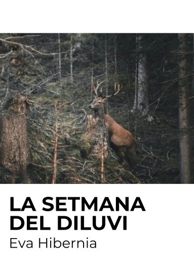 La setmana del diluvi