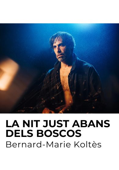 La nit just abans dels boscos
