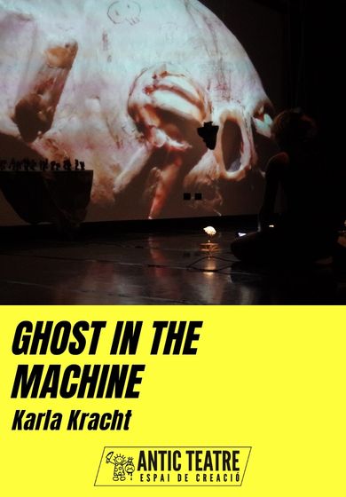 Ghost in the Machine → Antic Teatre